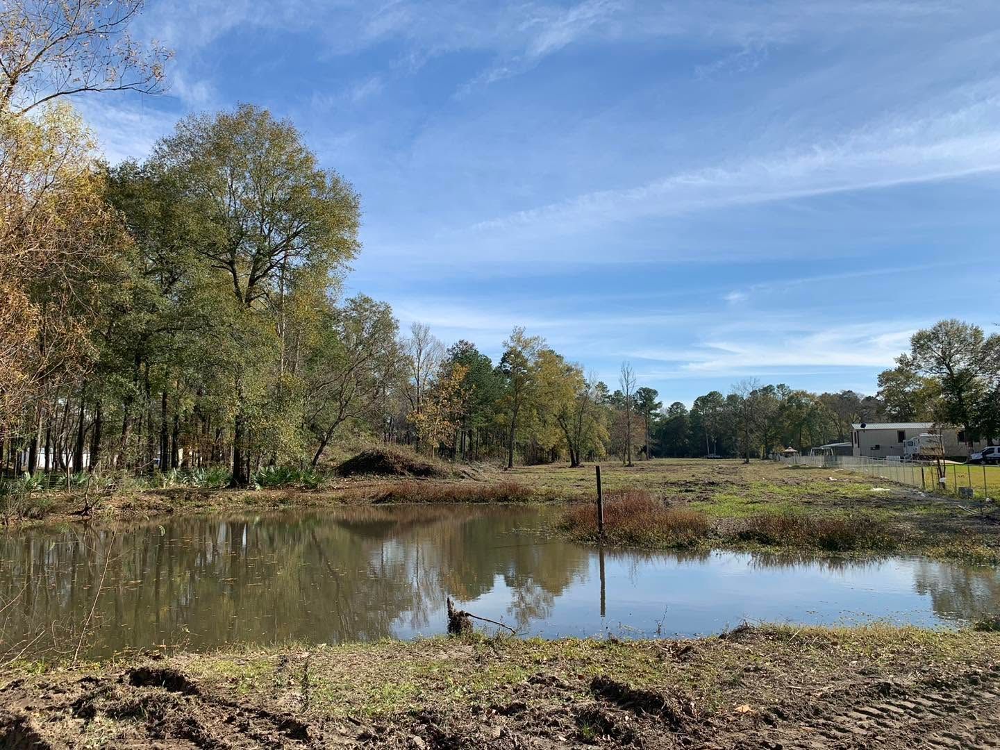 Calm pond reflecting autumn trees under a blue sky, with a grassy field and distant buildings