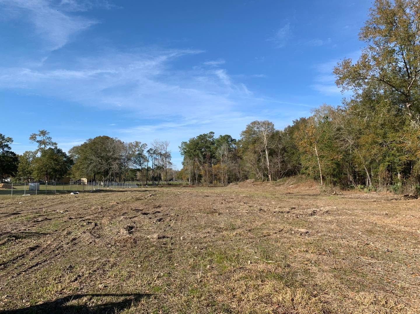 Open grassy field with trees under a clear blue sky
