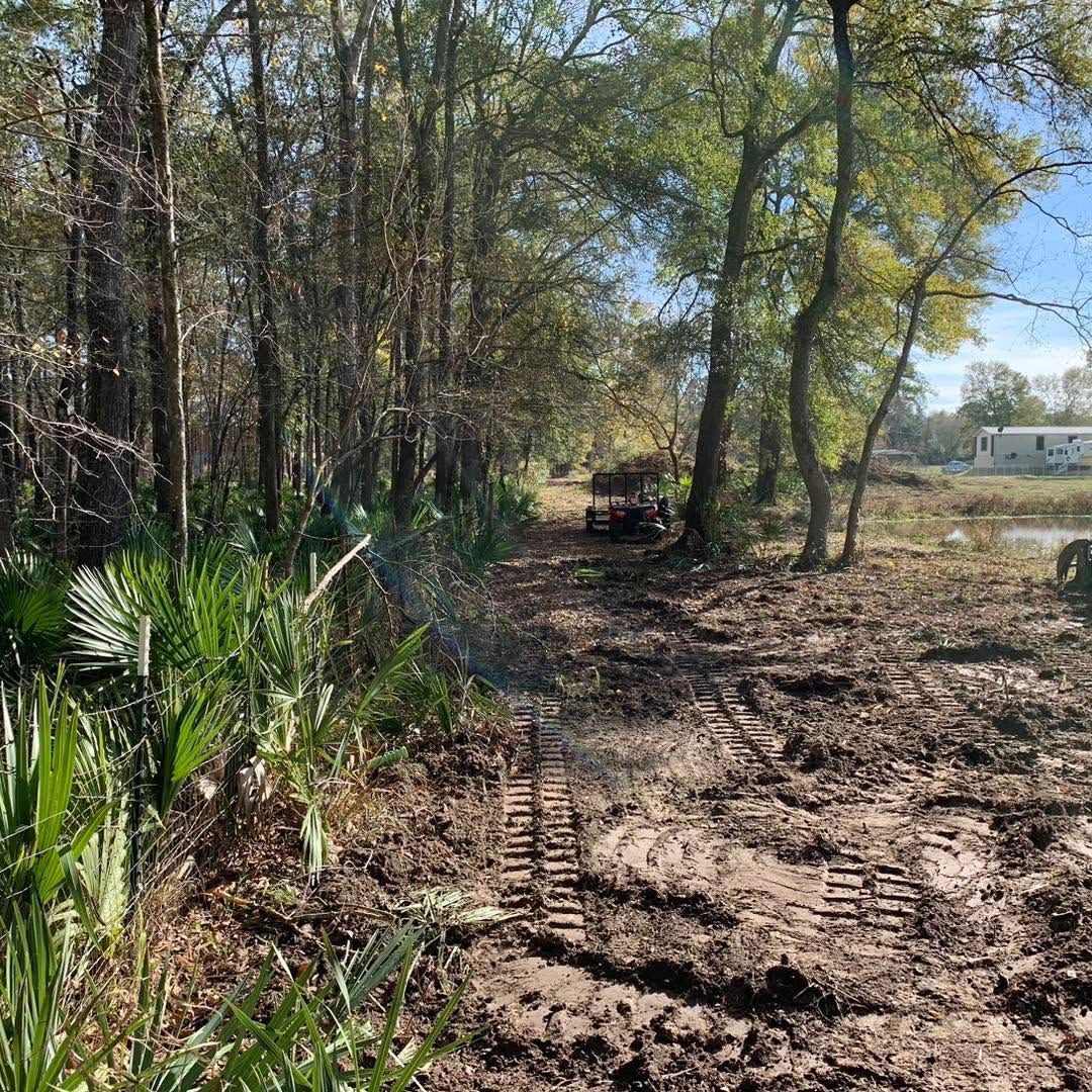 Muddy dirt path through woods beside a cleared field under a bright blue sky