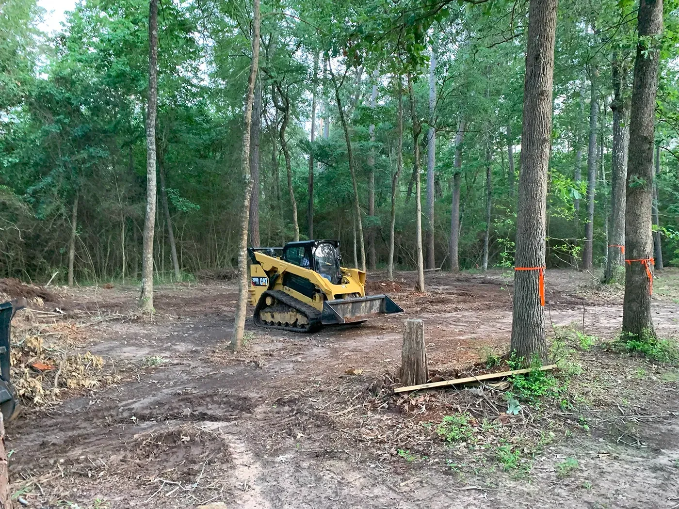 Yellow skid-steer loader on a muddy forest clearing among tall trees.