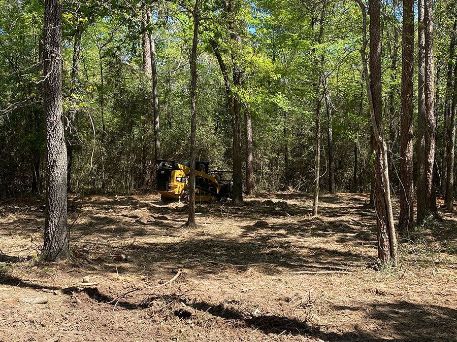 Yellow off-road vehicle in a wooded clearing among tall trees and dry ground