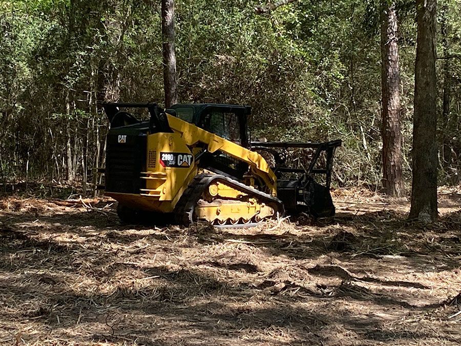 Yellow bulldozer clearing brush in a wooded forest area
