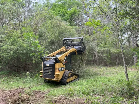 Yellow bulldozer clearing brush in a wooded area