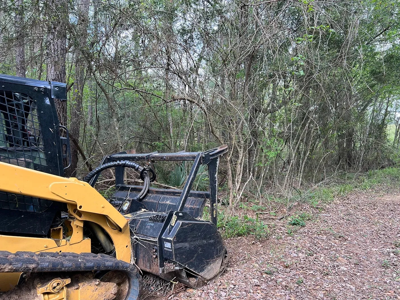 Yellow excavator arm beside a black skid-steer in a wooded clearing with leaf-covered ground