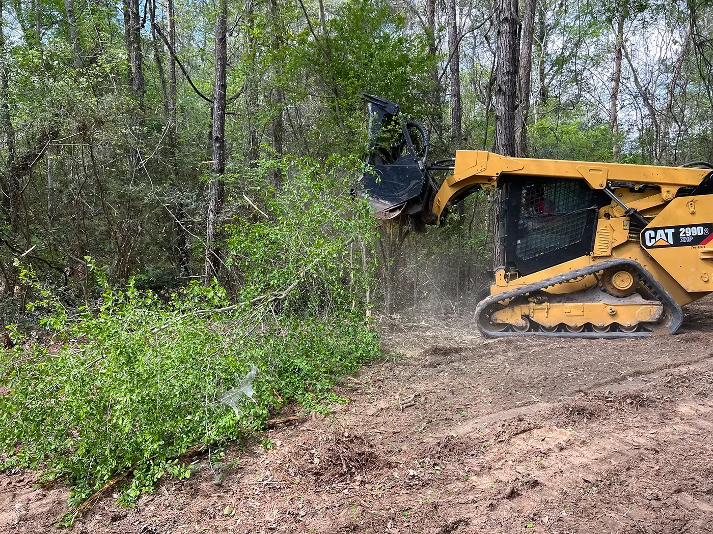 Yellow CAT skid steer clearing brush along a wooded dirt path, kicking up dust