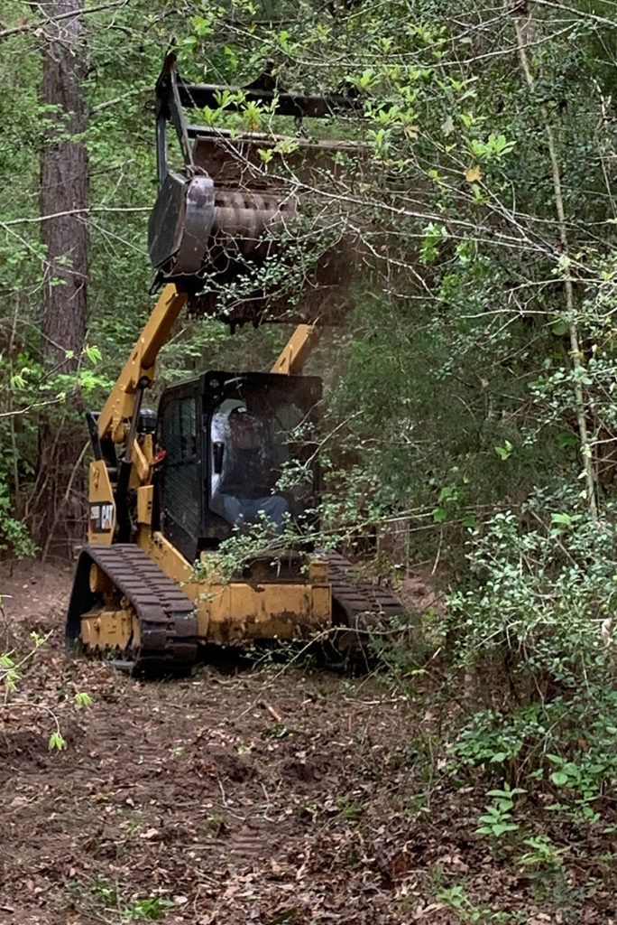 Yellow skid steer clearing brush in a wooded area, lifting branches with its front bucket