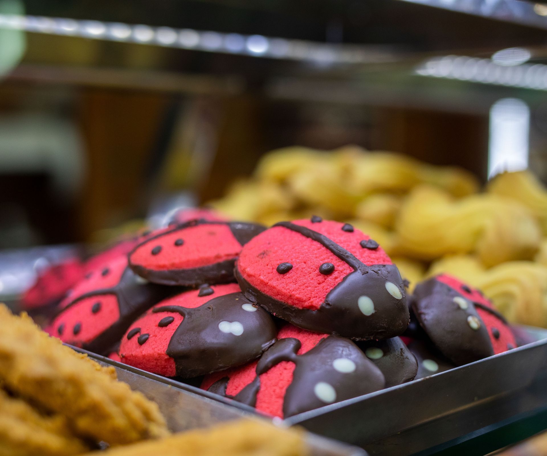 pasticcini