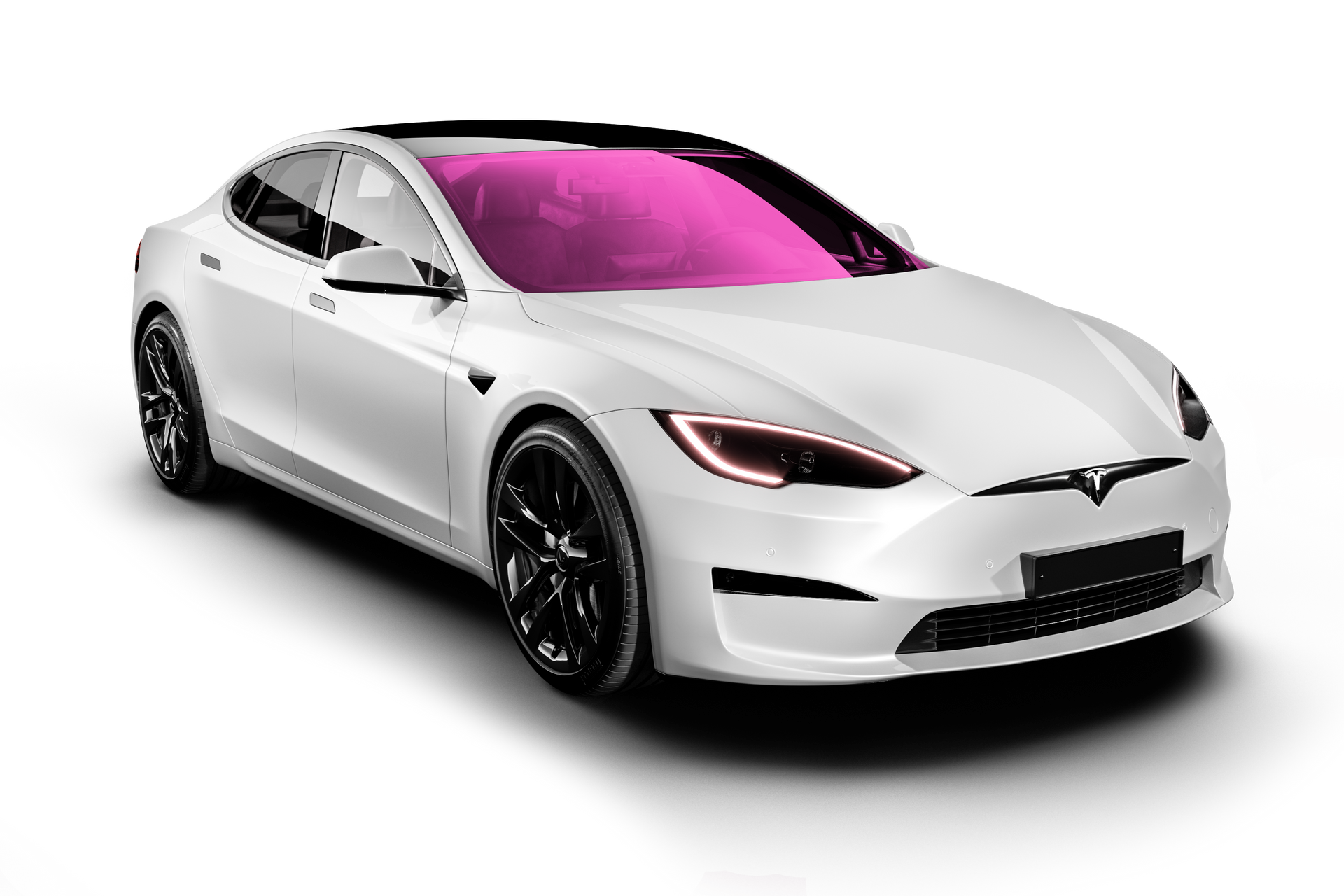 Full Windshield