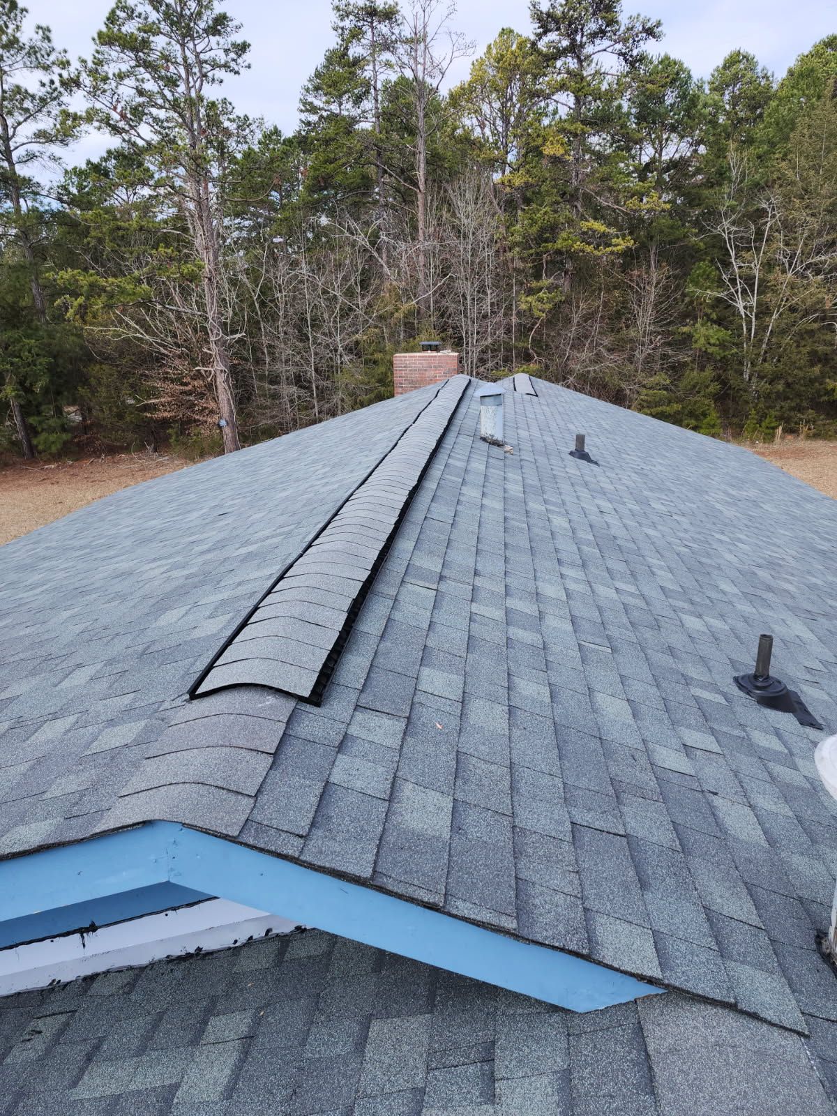 Blue-gray shingled roof with a dark ridge cap, vents, and a blue trim. Forest background.