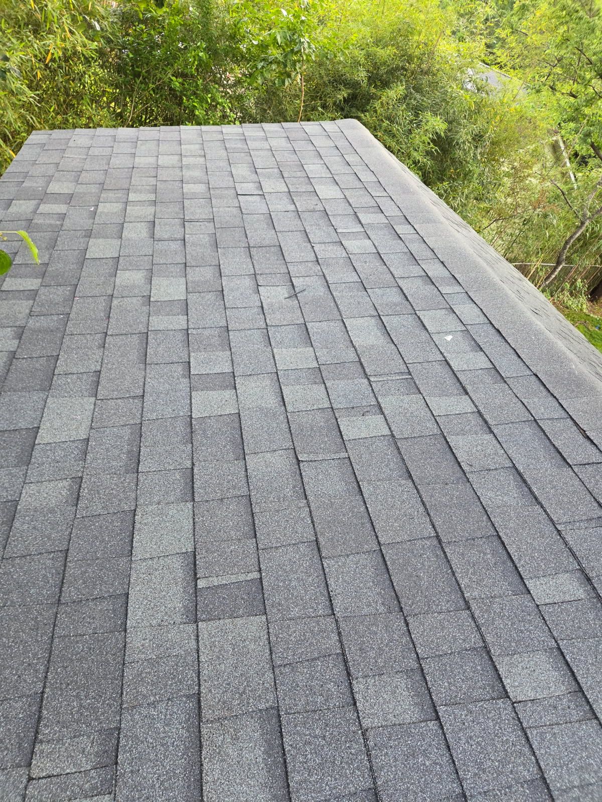 Dark gray shingle roof, angled view, with green foliage in the background.
