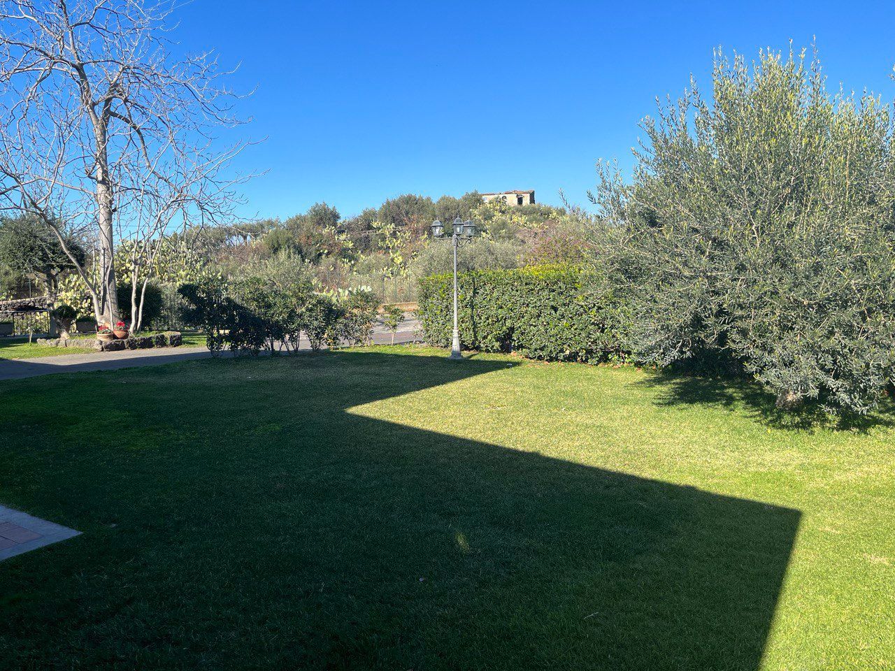 CAMERE Al Cavaliere