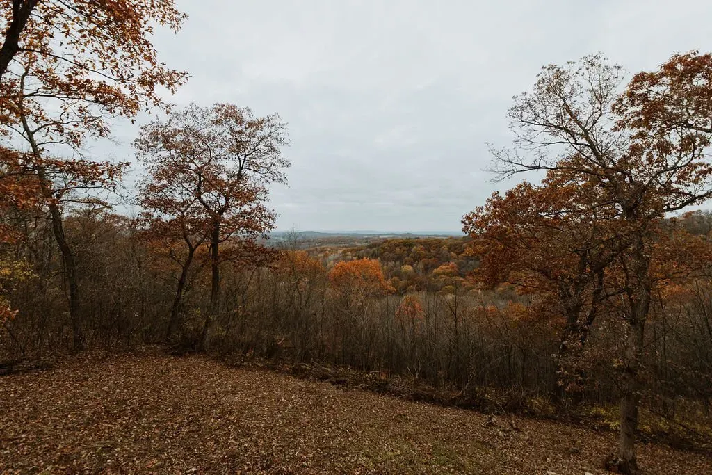 Pettinger Cabin Outside - Mindoro, WI - High Point Retreats