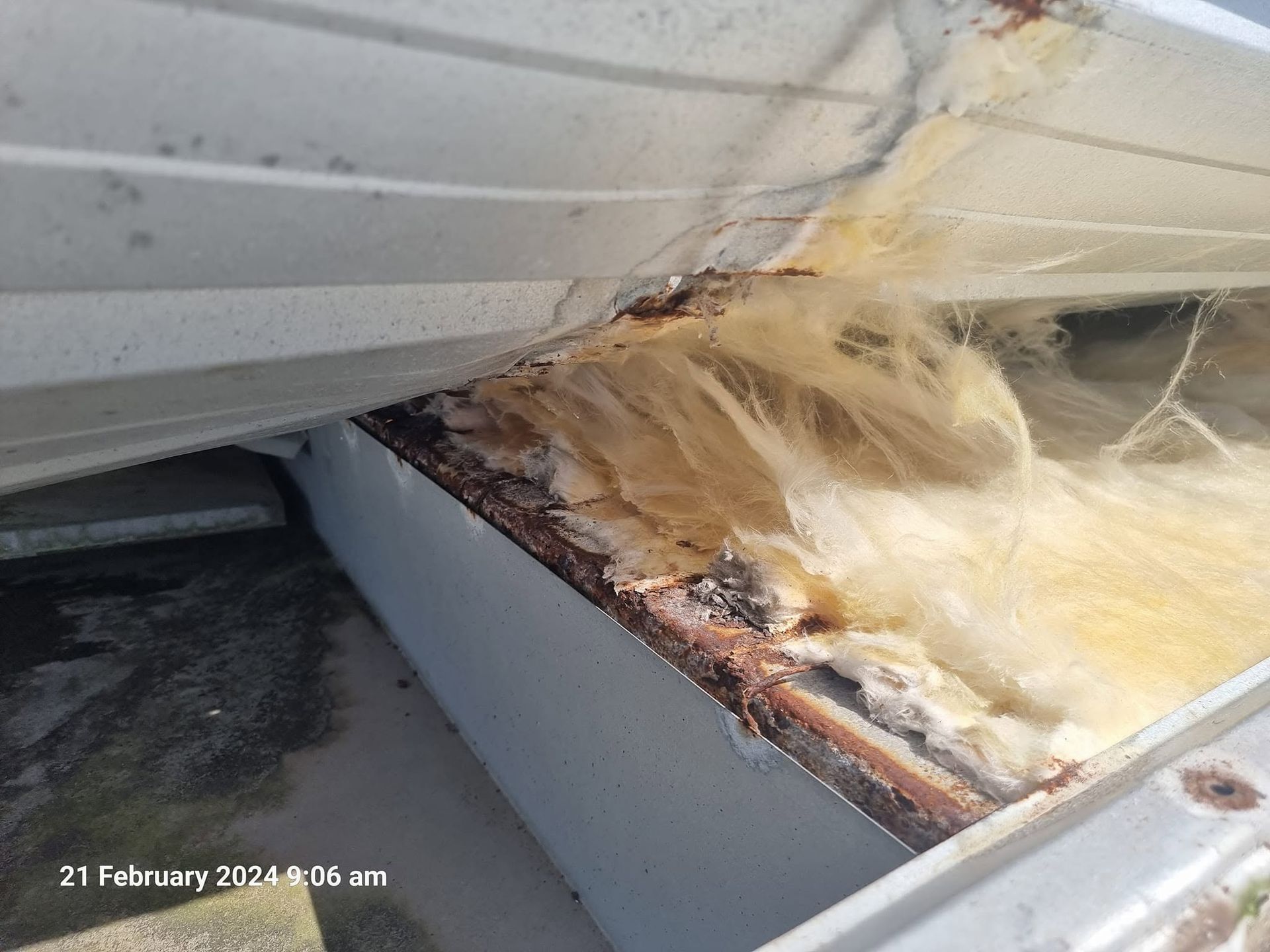 Damaged Roof Corner With Torn Insulation and Water-stained Wood — Stormguard Roofing In Caloundra West, QLD