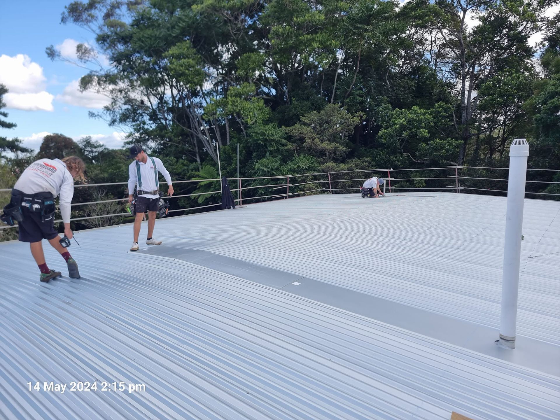 Workers on a White Corrugated Roof, Using Tools Amid Trees and a Blue Sky — Stormguard Roofing In Brisbane, QLD