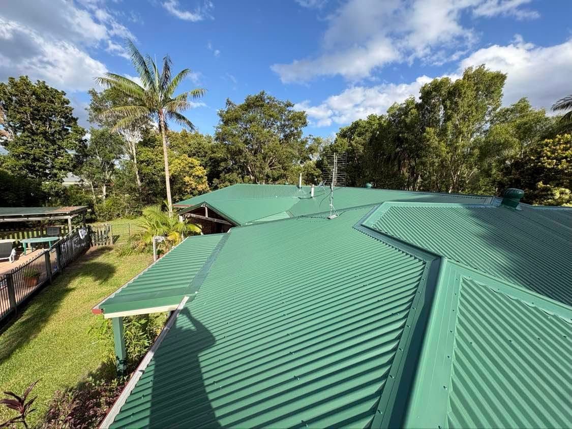 Green Metal Roof Surrounded by Lush Tropical Trees and Blue Sky — Stormguard Roofing In Caloundra West, QLD
