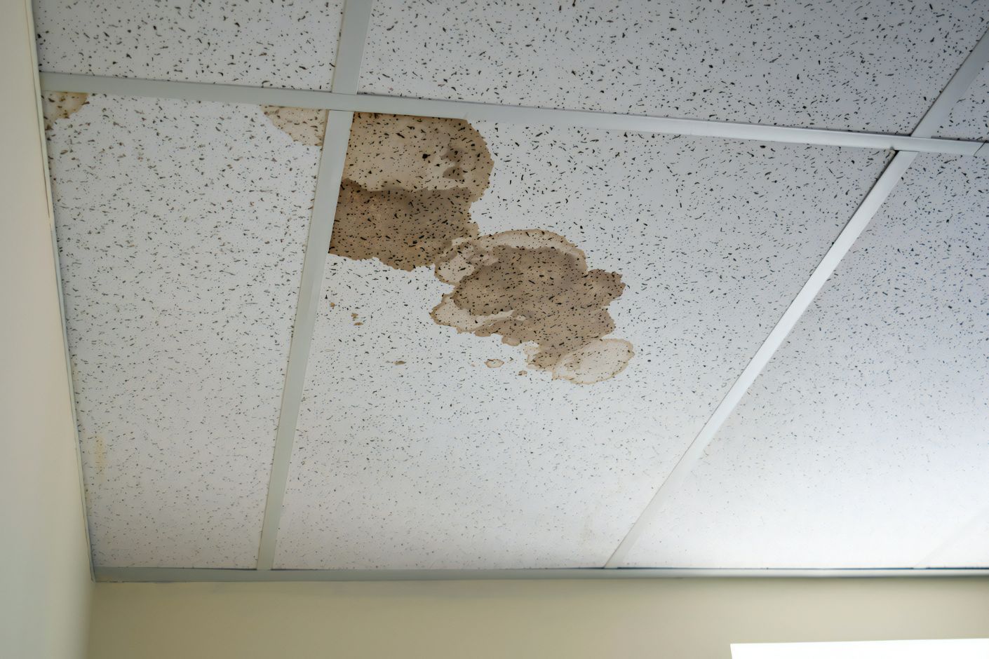 A leaking roof that needs repairs