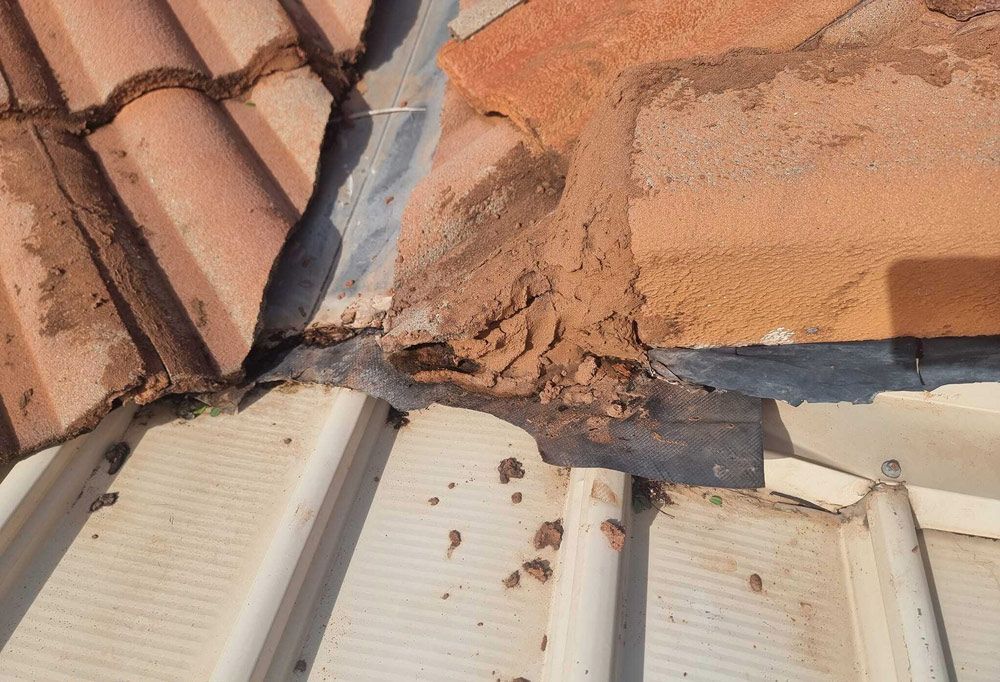 A damaged roof in need of repairs