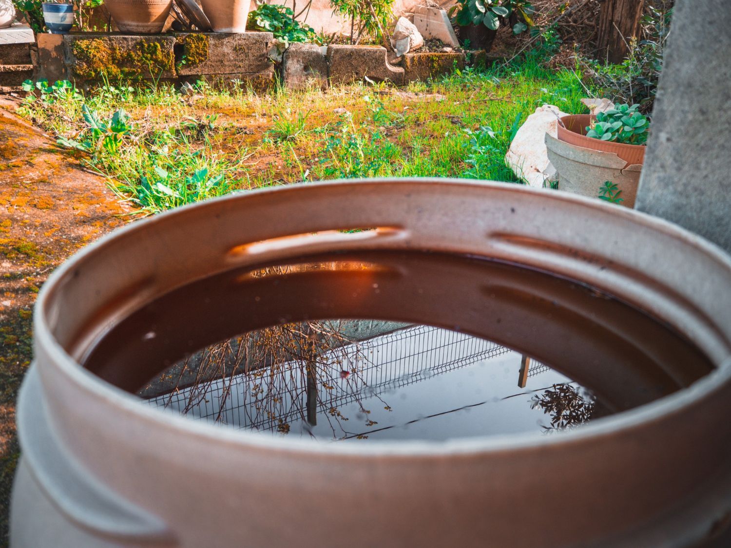 A large brown barrel filled with water in a garden.