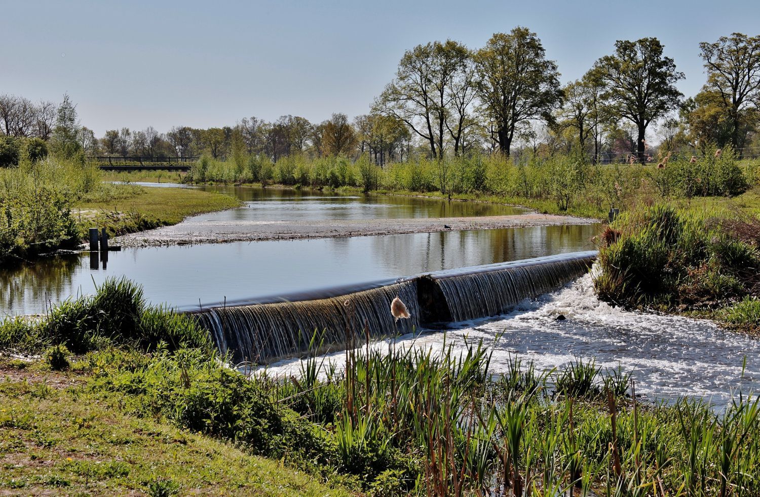 A river flowing through a grassy area with trees in the background