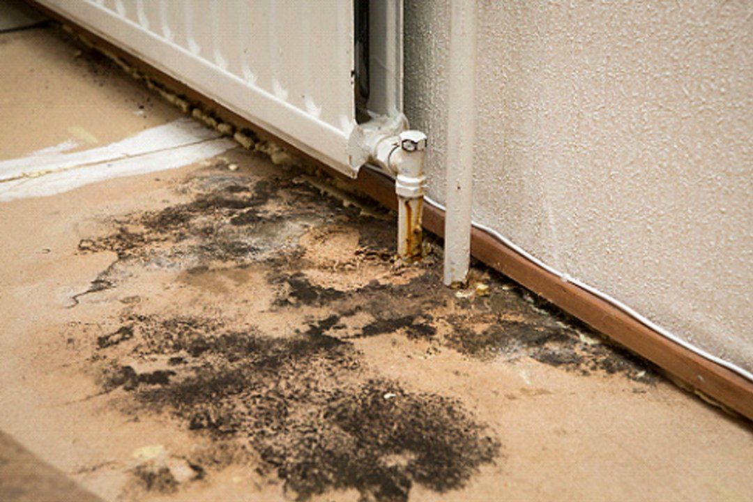 Model and Water Damage Property Restoration
