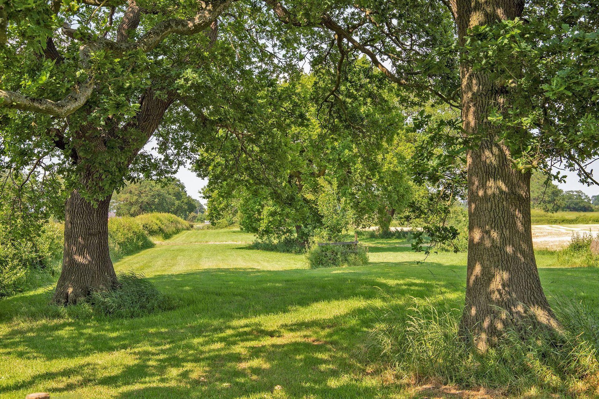 Oak acre avenue