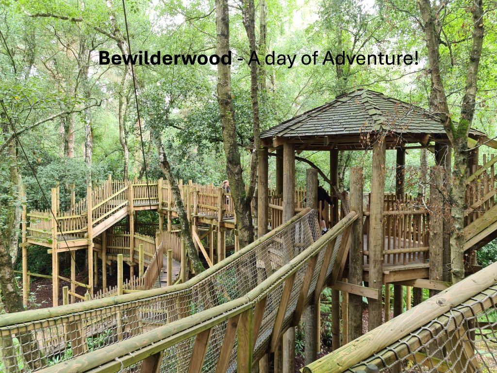 Wooden Treehouse and wooden walk ways in the trees at Bewilderwood