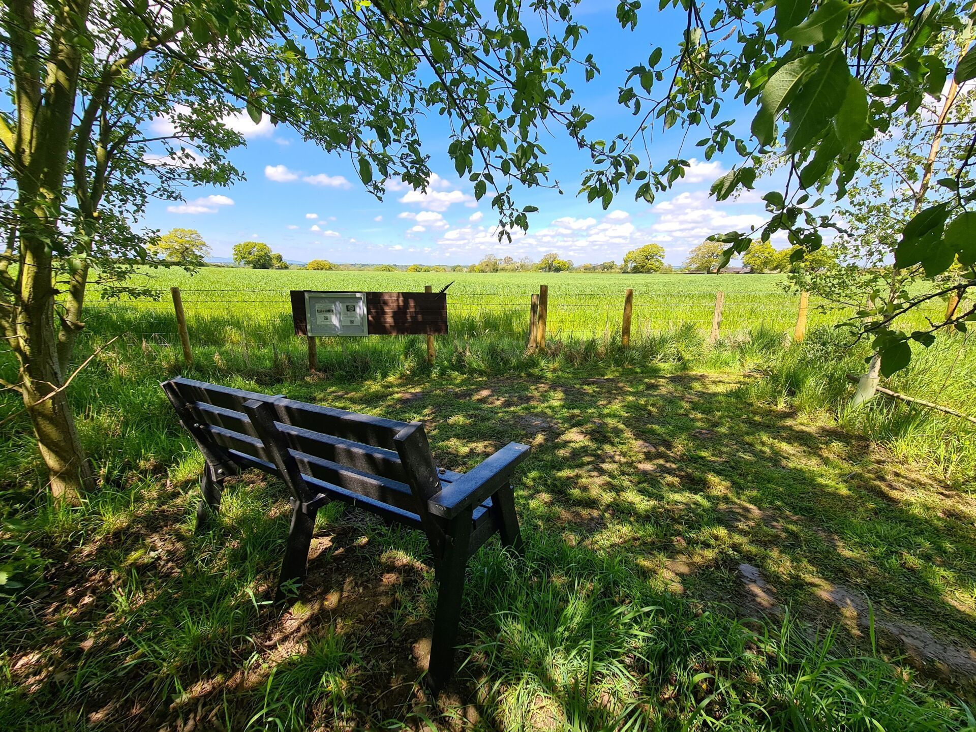 Bird watching area, with bench and trees and a large open field