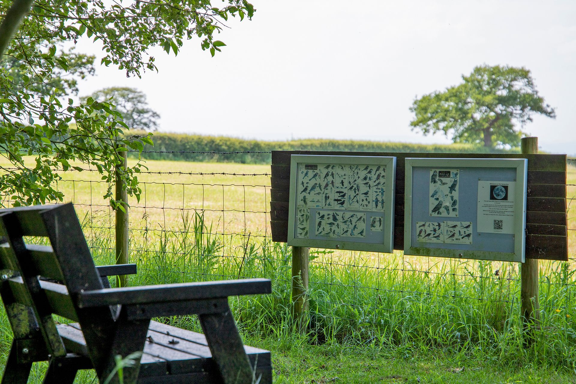 Bench by bird information looking out across a field