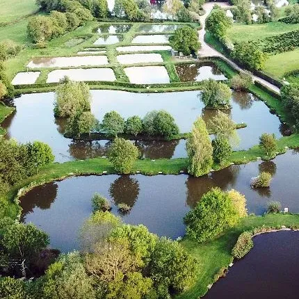 Hampton Spring Fisheries An aerial picture of Hampton Springs fisheries