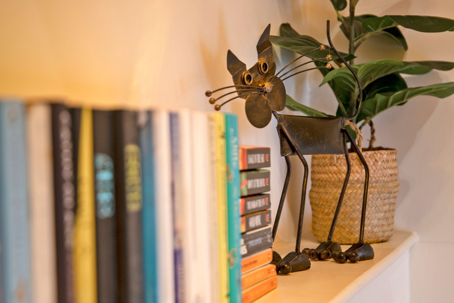 Books with a metal cat ornament