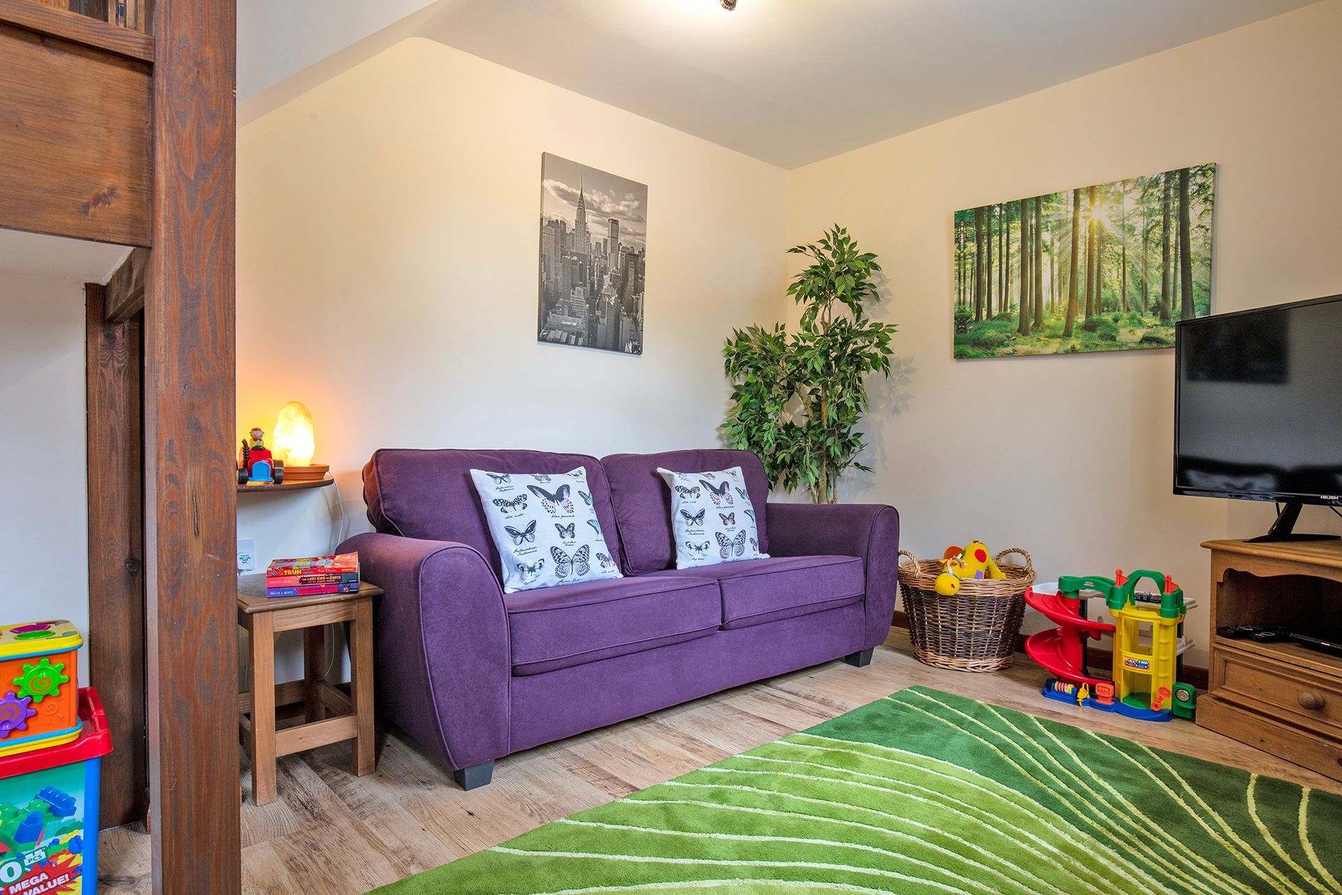 Purple sofa with butterfly cushions, toys and TV