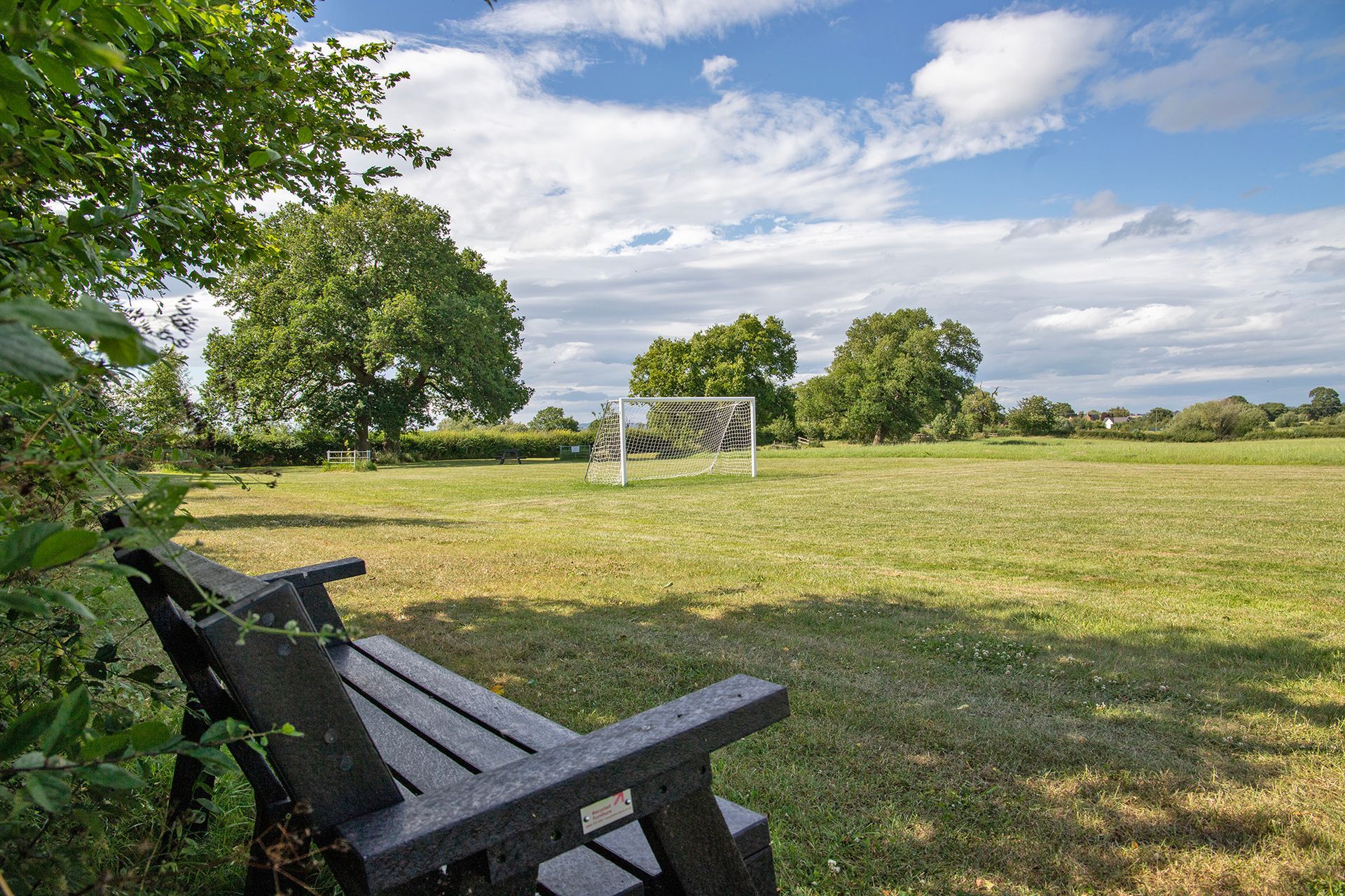 Grass field with oak trees and football net on a sunny day 