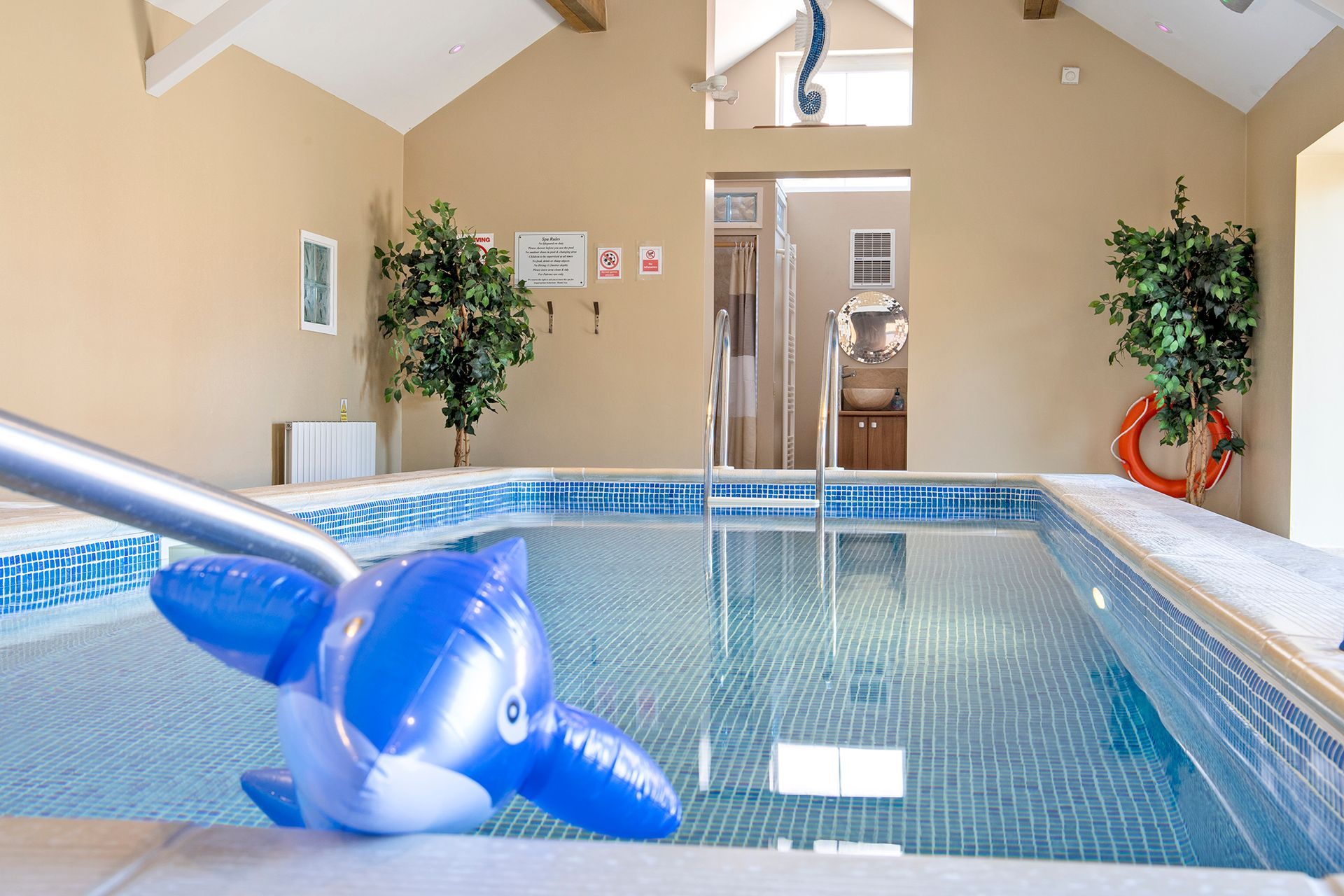 Indoor pool with blue inflatable dolphin