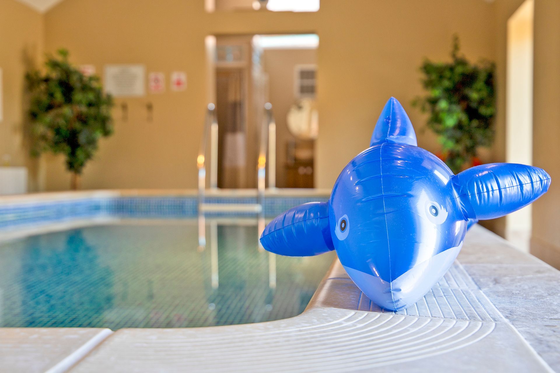 Indoor pool with an inflatable dolphin