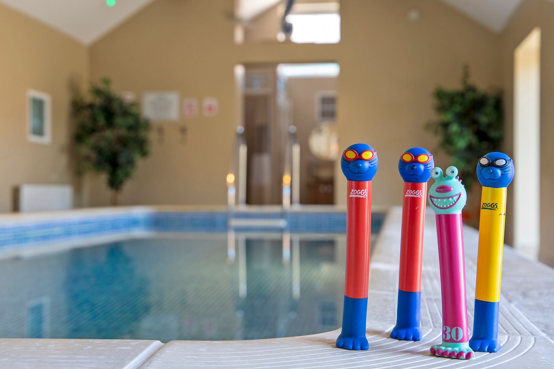 Dive toys at the side of an indoor swimming pool