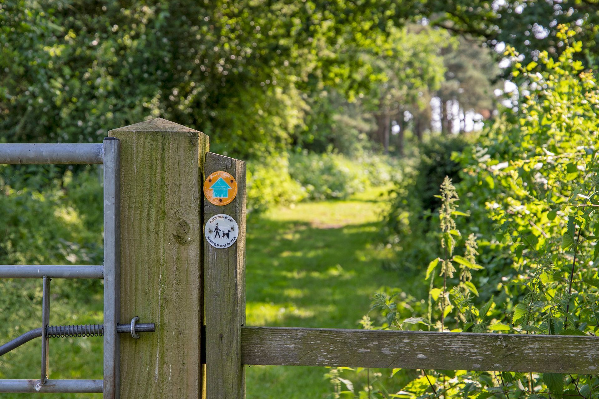 Gatepost with way markers on with a grass footpath and trees