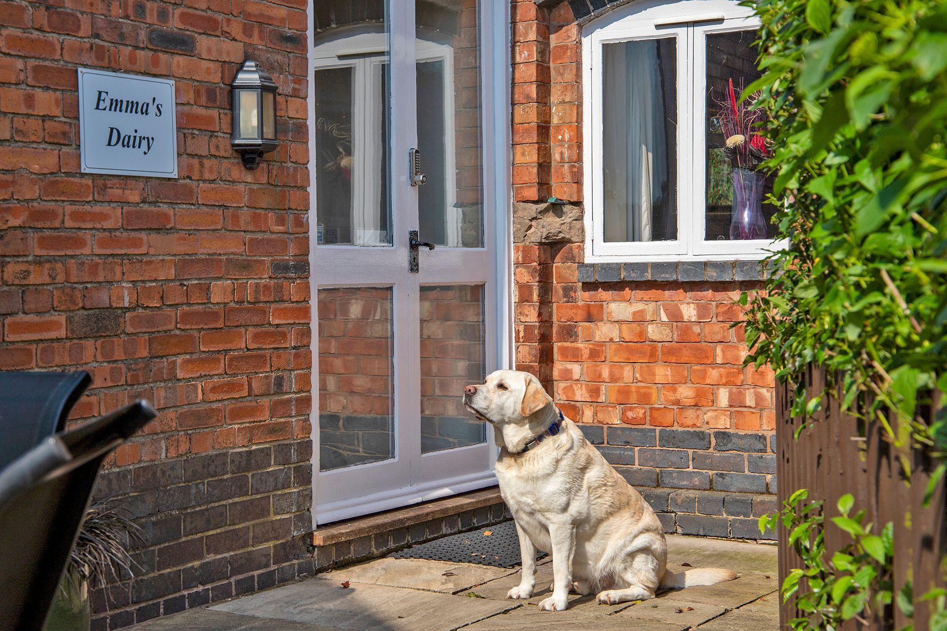 Labrador sitting outside a brick holiday cottage with a sign saying Emma's Dairy
