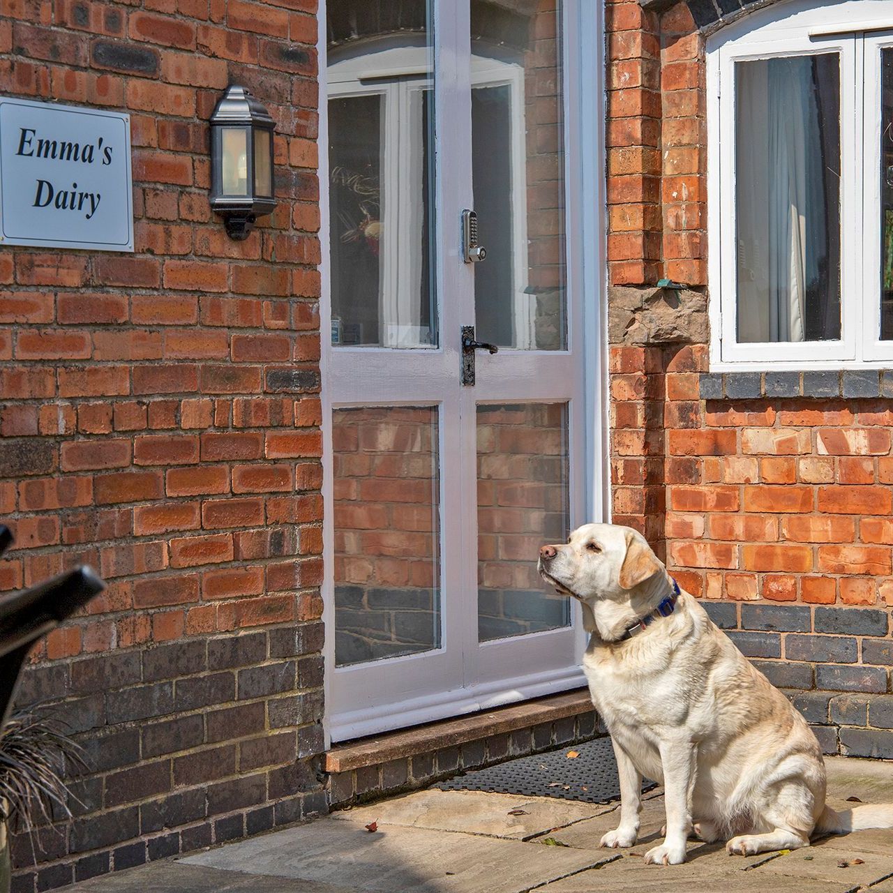 Pet Friendly Cottages at Alkington Grange Barns Emma's Dairy with dog sitting outside