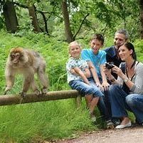 A family taking a picture of a monkey