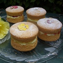 a selection of small cakes