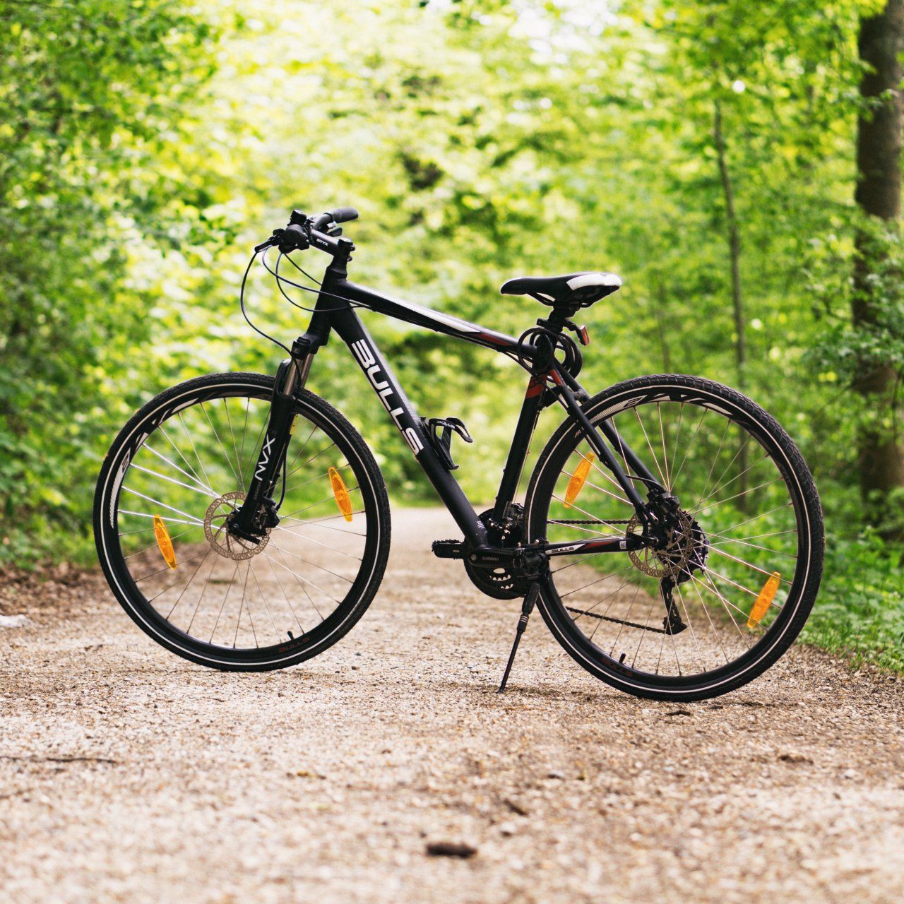 Adult bicycle standing by trees