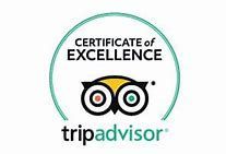 Trip advisor logo