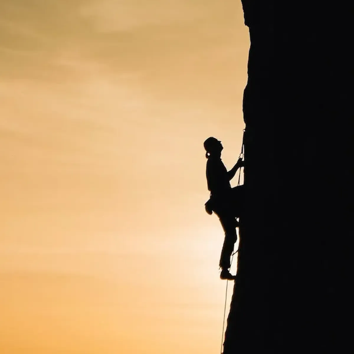 climb the search rankings