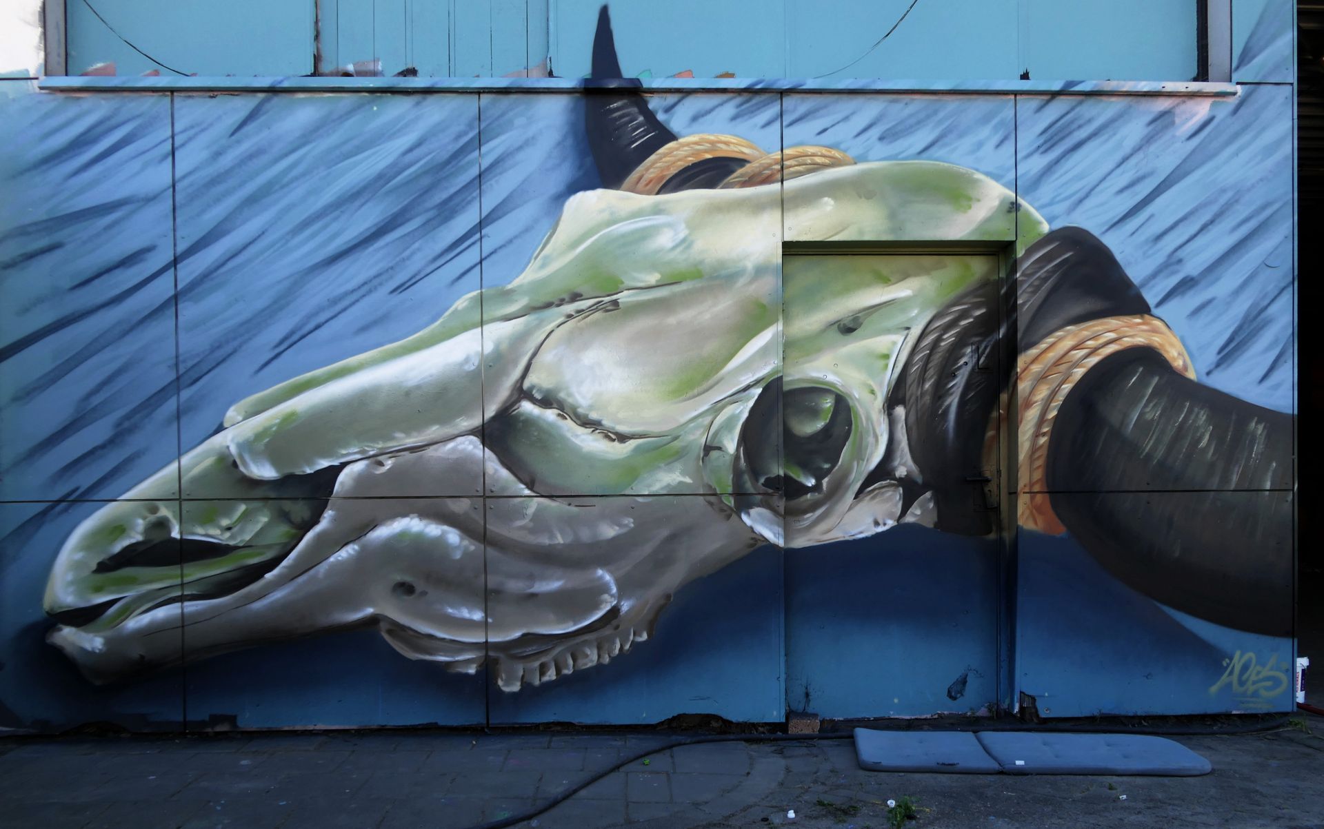 Skull on a garage
