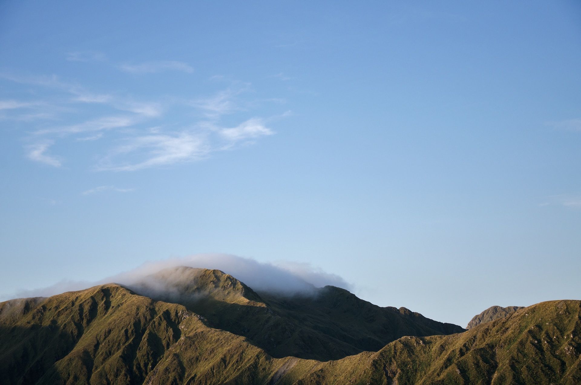 Member Spotlight Tararua Rural Education Activities Program (Tararua