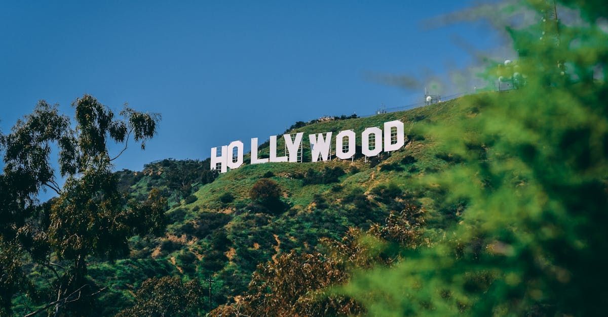 O letreiro de Hollywood fica no topo de uma colina cercada por árvores.