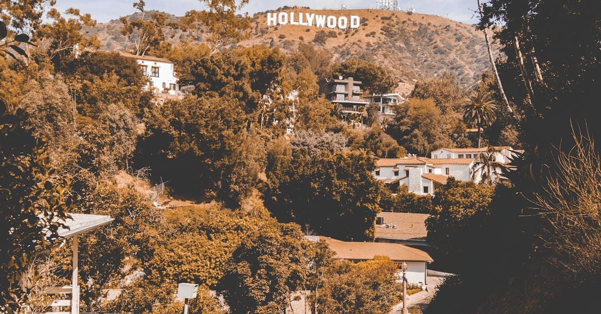 O letreiro de Hollywood fica no topo de uma colina cercada por árvores.