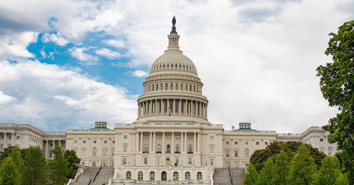 O edifício do Capitólio em Washington DC está cercado por árvores em um dia nublado.
