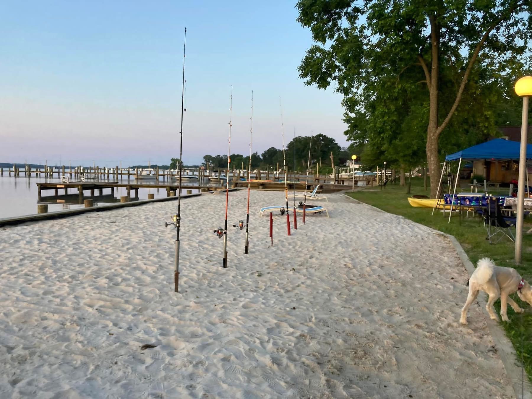 Sandy beach with fishing rods, dock, trees, and a dog near a shaded seating area at dusk