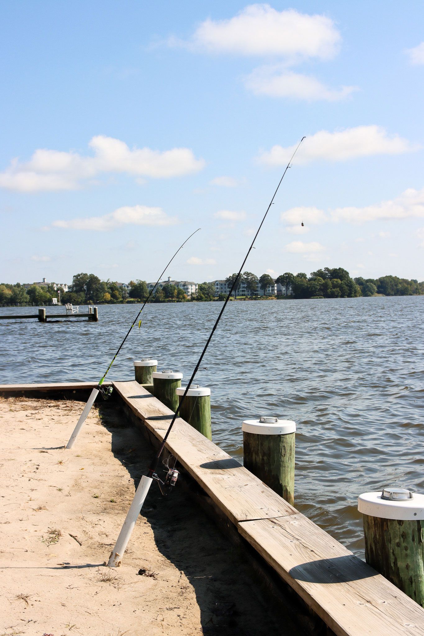 Fishing rods on a dock by a calm lake under a blue sky with clouds